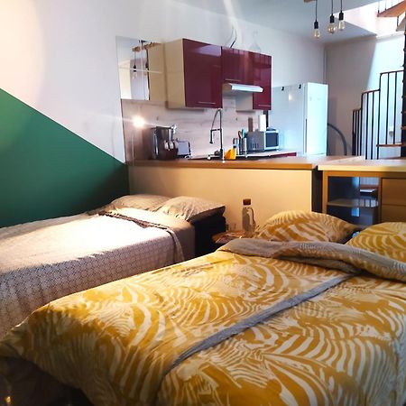 Spacieux Appartement Au Calme 15Min Sud De Lyon Proche Metro Et Gare Confluence Aquarium Gerland Oullins Ngoại thất bức ảnh